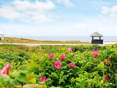 Holiday house Luxus-Ruckzug Nr. Lyngby -- By Traum Ferienwohnungen - Outdoor photo 13