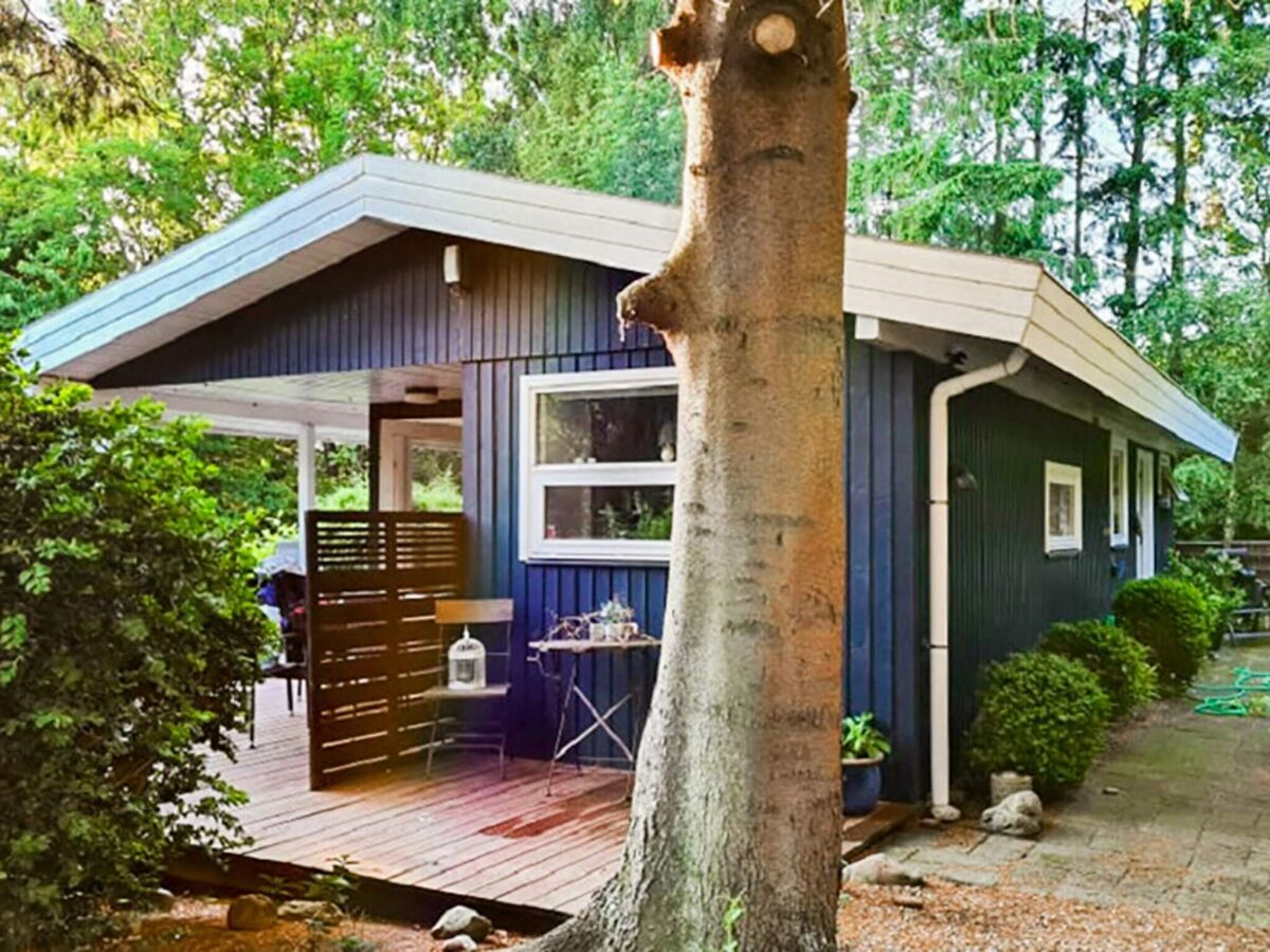 Holiday house 5 person holiday home in Tranekær-By Traum - Outdoor photo 3