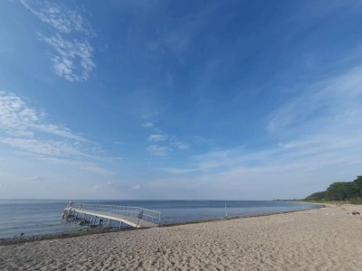 Holiday house 5 person holiday home in Tranekær-By Traum - Outdoor photo 14