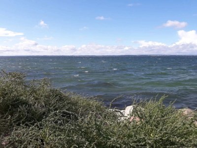 Holiday house 5 person holiday home in Tranekær-By Traum - Outdoor photo 15