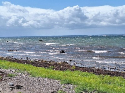 Holiday house 5 person holiday home in Tranekær-By Traum - Outdoor photo 16