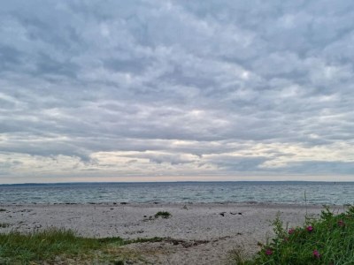 Holiday house 5 person holiday home in Tranekær-By Traum - Outdoor photo 17