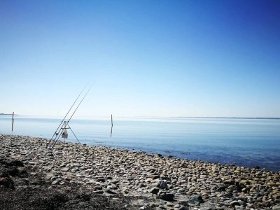 Holiday house 5 person holiday home in Tranekær-By Traum - Outdoor photo 18