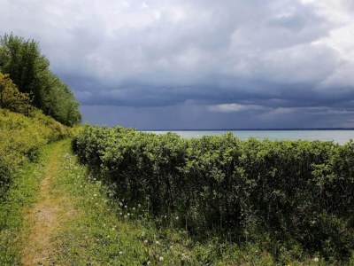 Holiday house 5 person holiday home in Tranekær-By Traum - Outdoor photo 19