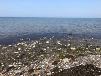 Holiday house 5 person holiday home in Tranekær-By Traum - Outdoor photo 30