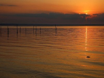 Holiday house 5 person holiday home in Tranekær-By Traum - Outdoor photo 34