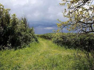 Holiday house 5 person holiday home in Tranekær-By Traum - Outdoor photo 35