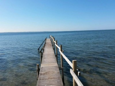 Holiday house 5 person holiday home in Tranekær-By Traum - Outdoor photo 37