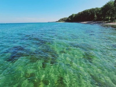 Holiday house 5 person holiday home in Tranekær-By Traum - Outdoor photo 38