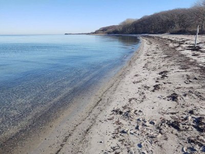 Holiday house 5 person holiday home in Tranekær-By Traum - Outdoor photo 39