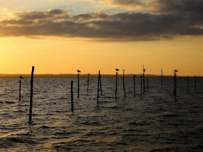 Holiday house 5 person holiday home in Tranekær-By Traum - Outdoor photo 41