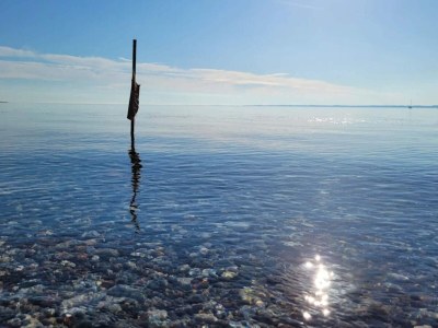 Holiday house 5 person holiday home in Tranekær-By Traum - Outdoor photo 42