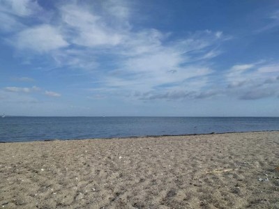 Holiday house 5 person holiday home in Tranekær-By Traum - Outdoor photo 43