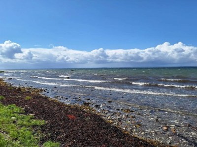 Holiday house 5 person holiday home in Tranekær-By Traum - Outdoor photo 48