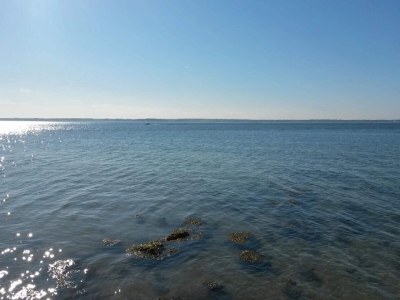 Holiday house 5 person holiday home in Tranekær-By Traum - Outdoor photo 49