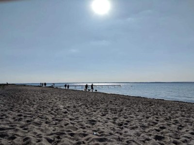 Holiday house 5 person holiday home in Tranekær-By Traum - Outdoor photo 50