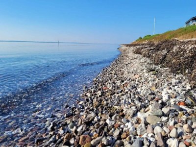Holiday house 5 person holiday home in Tranekær-By Traum - Outdoor photo 54
