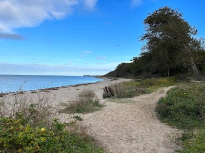 Holiday house 5 person holiday home in Tranekær-By Traum - Outdoor photo 55