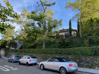 Holiday house Annabelle - Outdoor photo 14