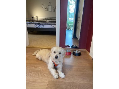 Holiday house Annabelle - Features photo 30