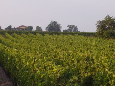 Holiday house Annabelle - Environment photo 34