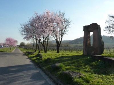 Holiday house Annabelle - Environment photo 36