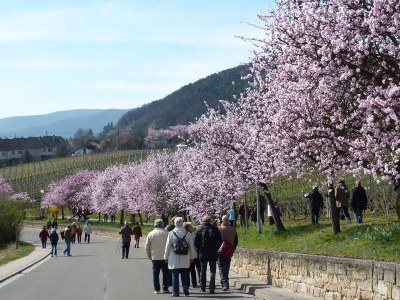 Holiday house Annabelle - Environment photo 39