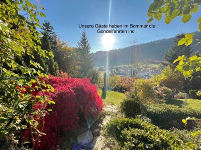 Holiday apartment Biohausatelierwohnung - Outdoor photo 10