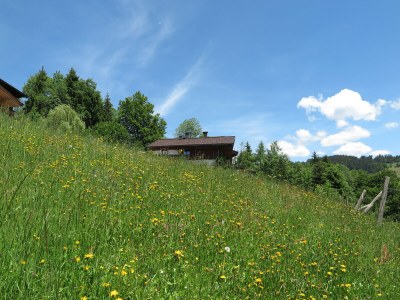 Holiday apartment Biohausatelierwohnung - Outdoor photo 19