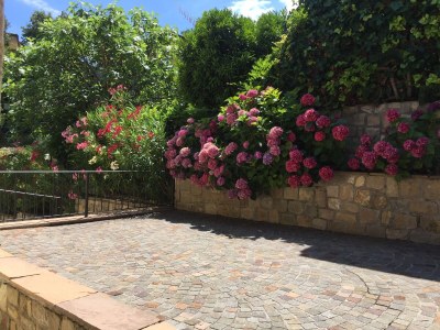 Holiday house Casa Rosemarie - Outdoor photo 8