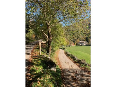 Holiday house Casa Rosemarie - Environment photo 37