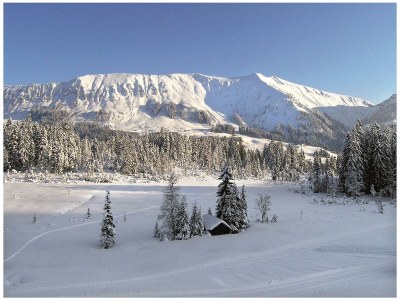 Apartment Appartement- 3 Schlafzimmer  DU/BADEWANNE/WC - Outdoor photo 6
