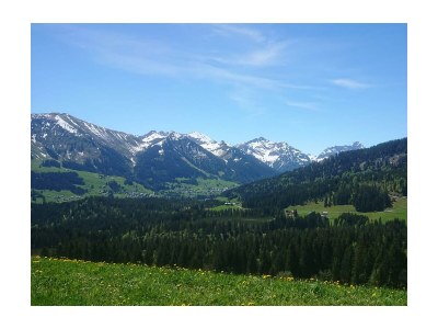 Apartment Appartement- 3 Schlafzimmer  DU/BADEWANNE/WC - Outdoor photo 7