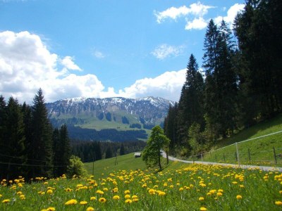 Apartment Appartement - 1 Schlafraum Nr. 4  "Alpenrose" - Outdoor photo 12