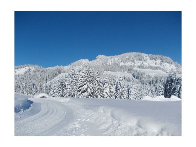 Apartment Appartement - 1 Schlafraum Nr. 4  "Alpenrose" - Outdoor photo 13