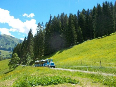 Apartment Appartement - 1 Schlafraum Nr. 4  "Alpenrose" - Outdoor photo 14