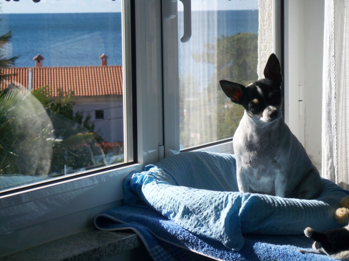 Apartment Sanja - Outdoor photo 3