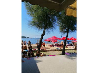 Apartment Sanja - Environment photo 27