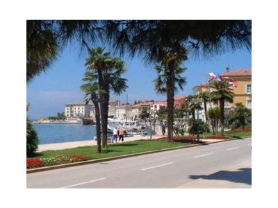 Apartment Sanja - Environment photo 29