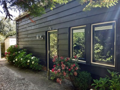 Holiday apartment Huize Oostduin: Apartment - Outdoor photo 2