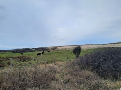 Holiday apartment Huize Oostduin: Apartment - Environment photo 13