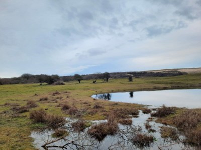 Holiday apartment Huize Oostduin: Apartment - Environment photo 15