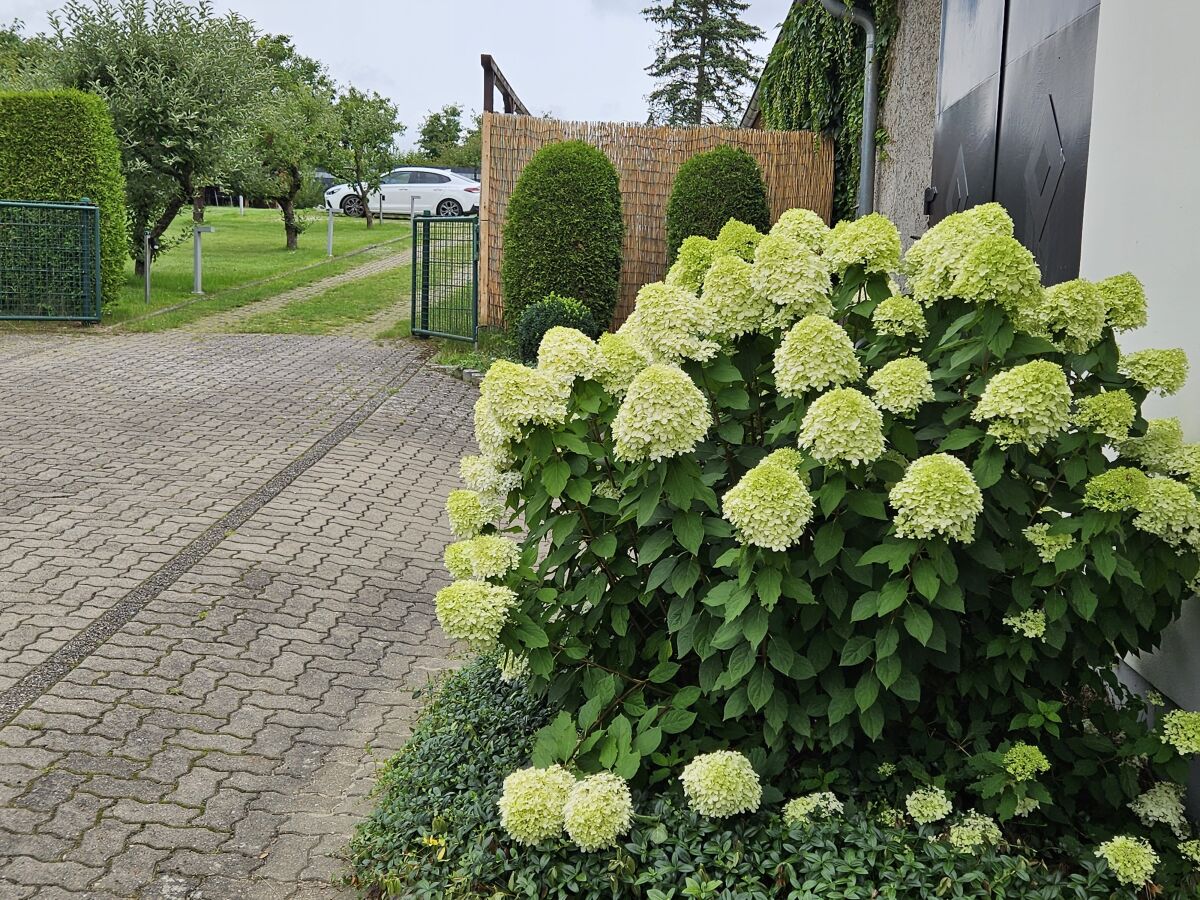 Holiday house Eldeufer - Outdoor photo 3