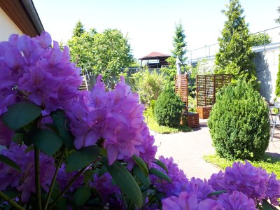 Holiday house Eldeufer - Outdoor photo 7