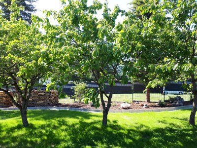 Holiday house Eldeufer - Outdoor photo 10