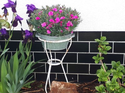 Holiday house Eldeufer - Environment photo 31