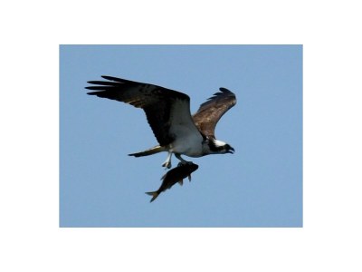 Holiday house Eldeufer - Environment photo 33