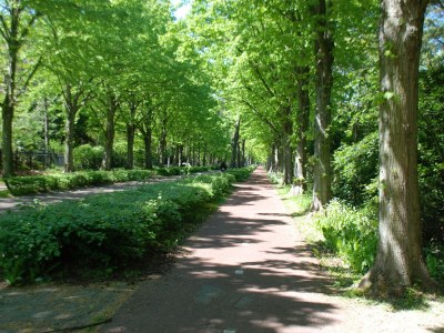 Holiday apartment Sunny Suite - Environment photo 28