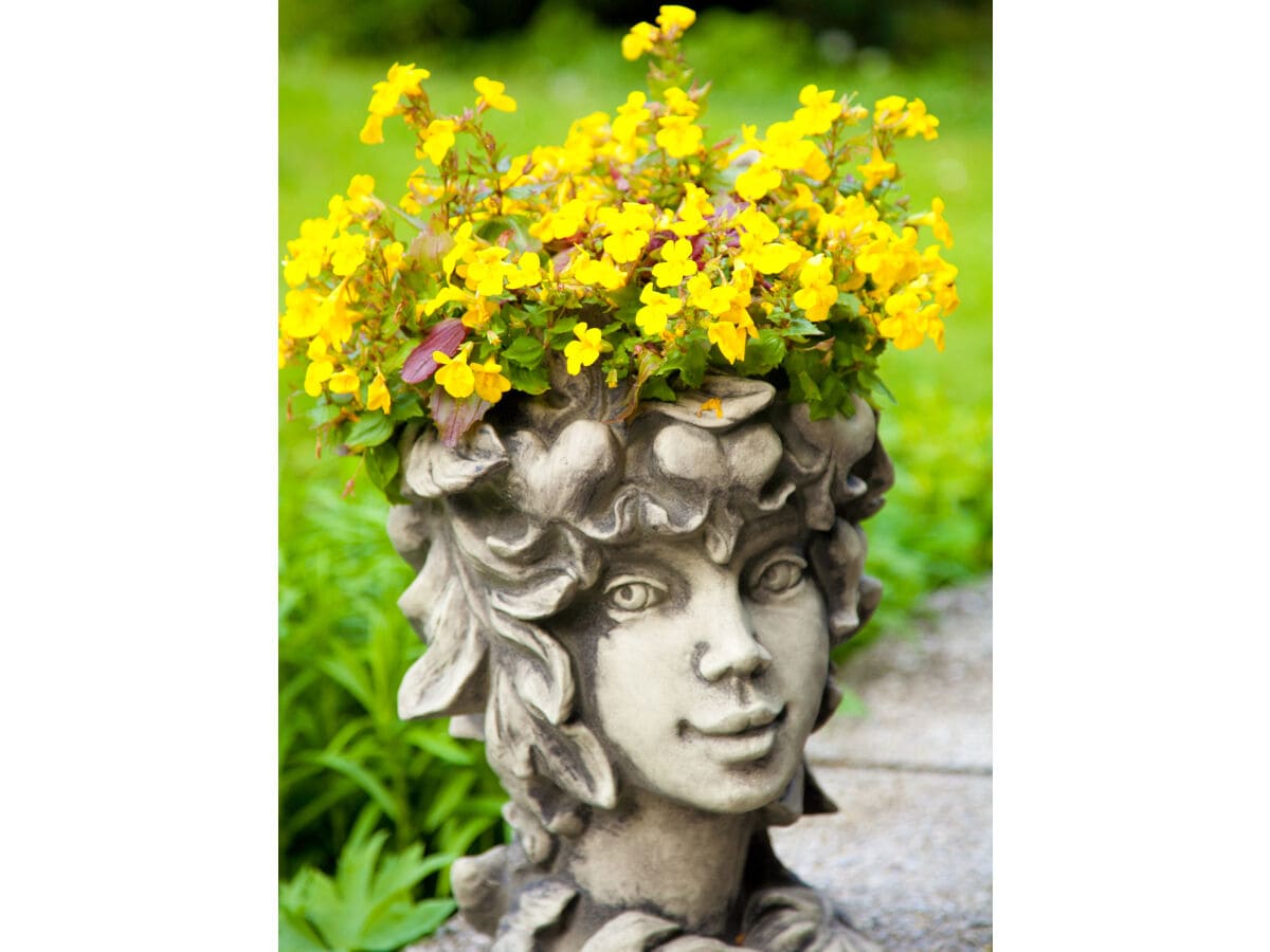 Holiday apartment Mountain view - Outdoor photo 5