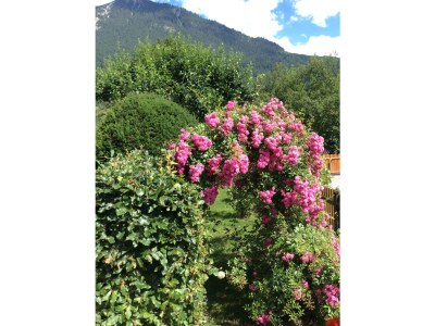 Holiday apartment Mountain view - Outdoor photo 6